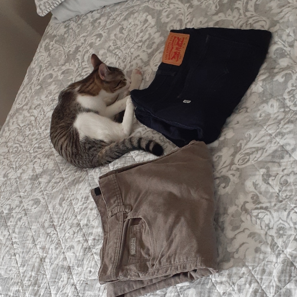 A bundle of 2 Jean's